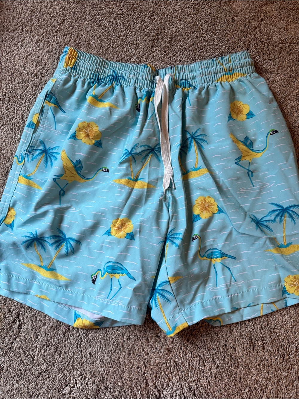 chubbies Aqua Swim Trunks with Blue Logo